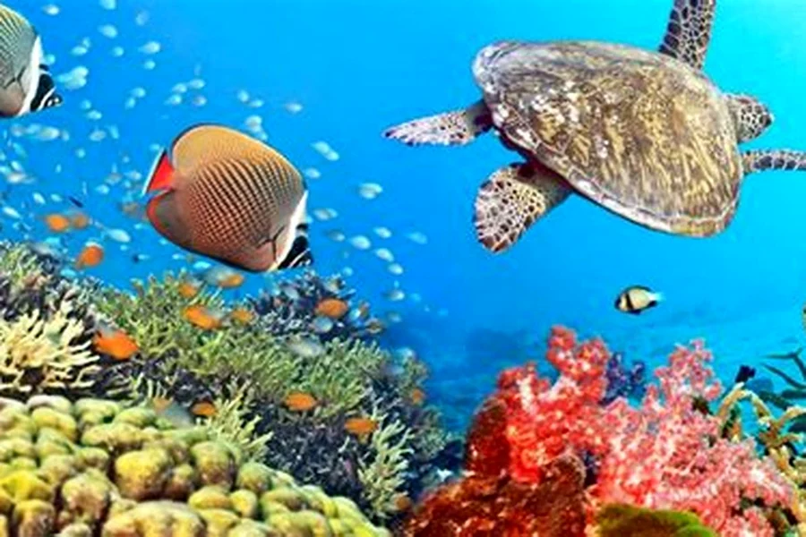 memancing di laut dalam