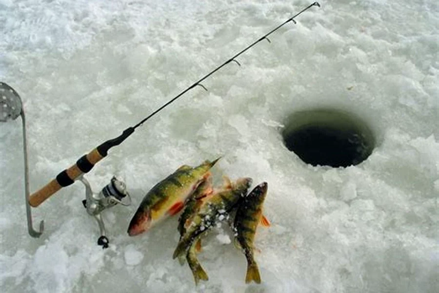 Memancing di laut es