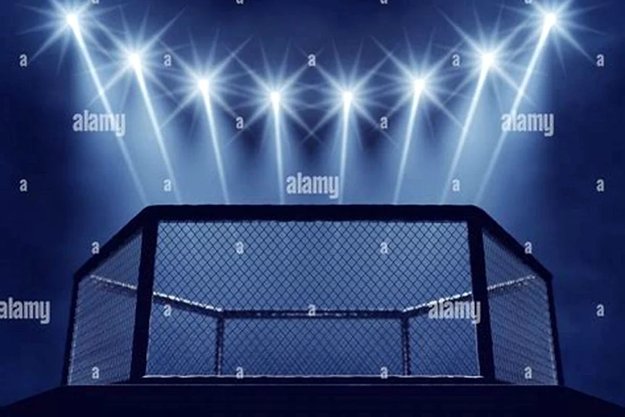 MMA