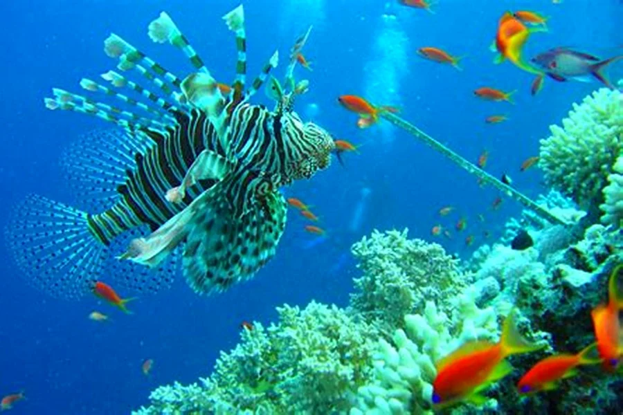 Laut Badai