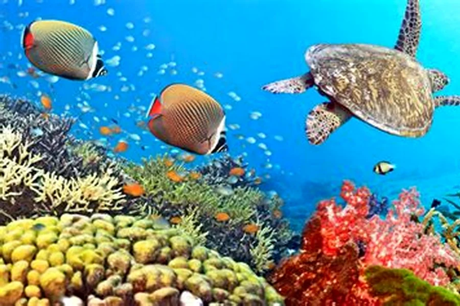 Harta Memancing